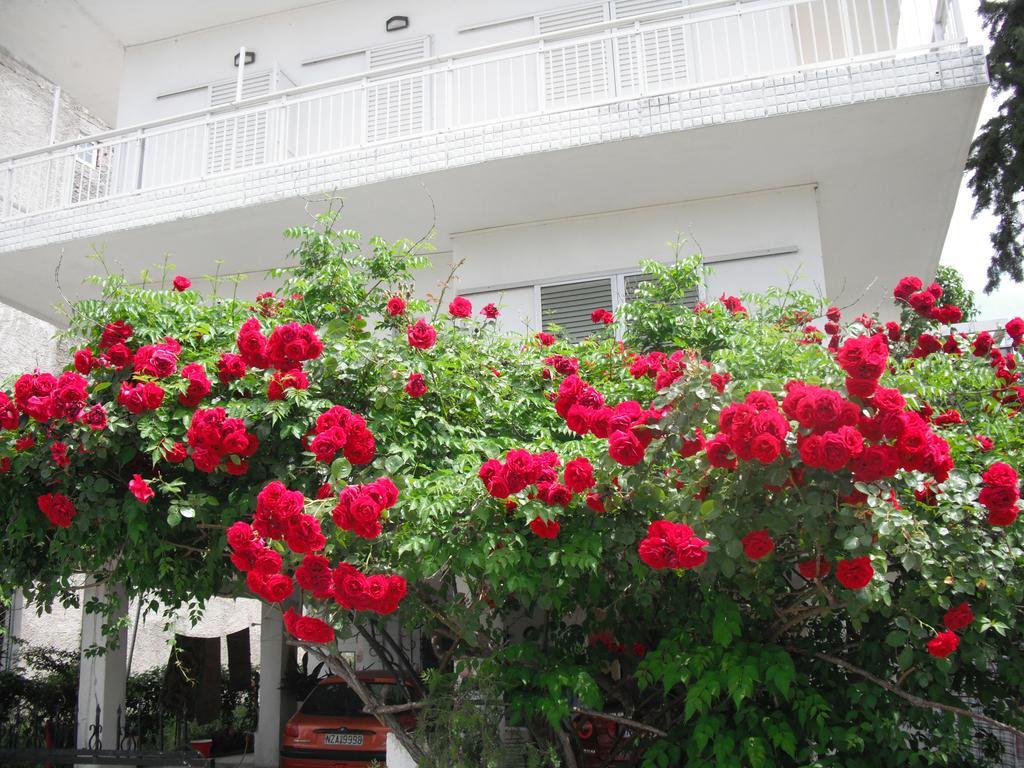 Aris House Apartment Paralia Katerinis Exterior photo