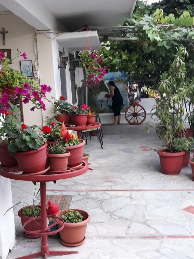 Aris House Apartment Paralia Katerinis Exterior photo